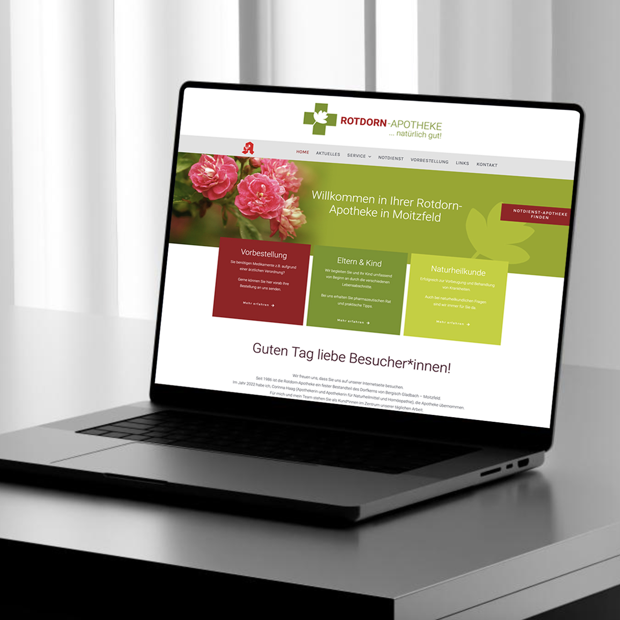 Website Erstellung Wordpress